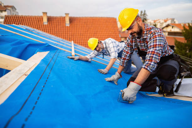 Best Commercial Roofing Services  in Colon, MI